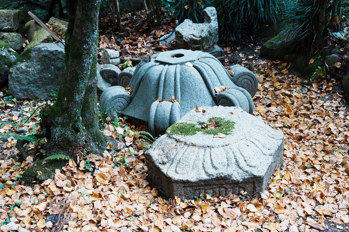 2025-11-09 / 59